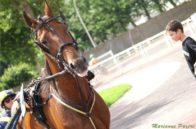 PHOTOGRAPHE : Marianne PASTRE PHOTOGRAPHE : Marianne PASTRE
