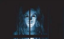 LIVRE : La dame blanche LIVRE : La dame blanche